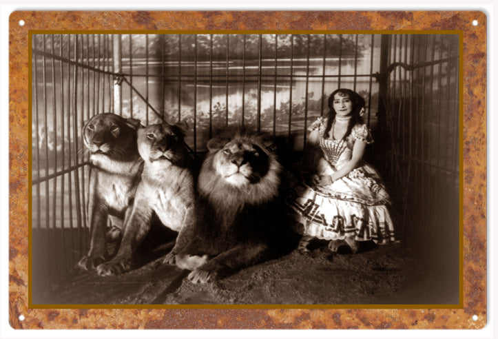 Lions Cage Classic Animal Circus 12x18