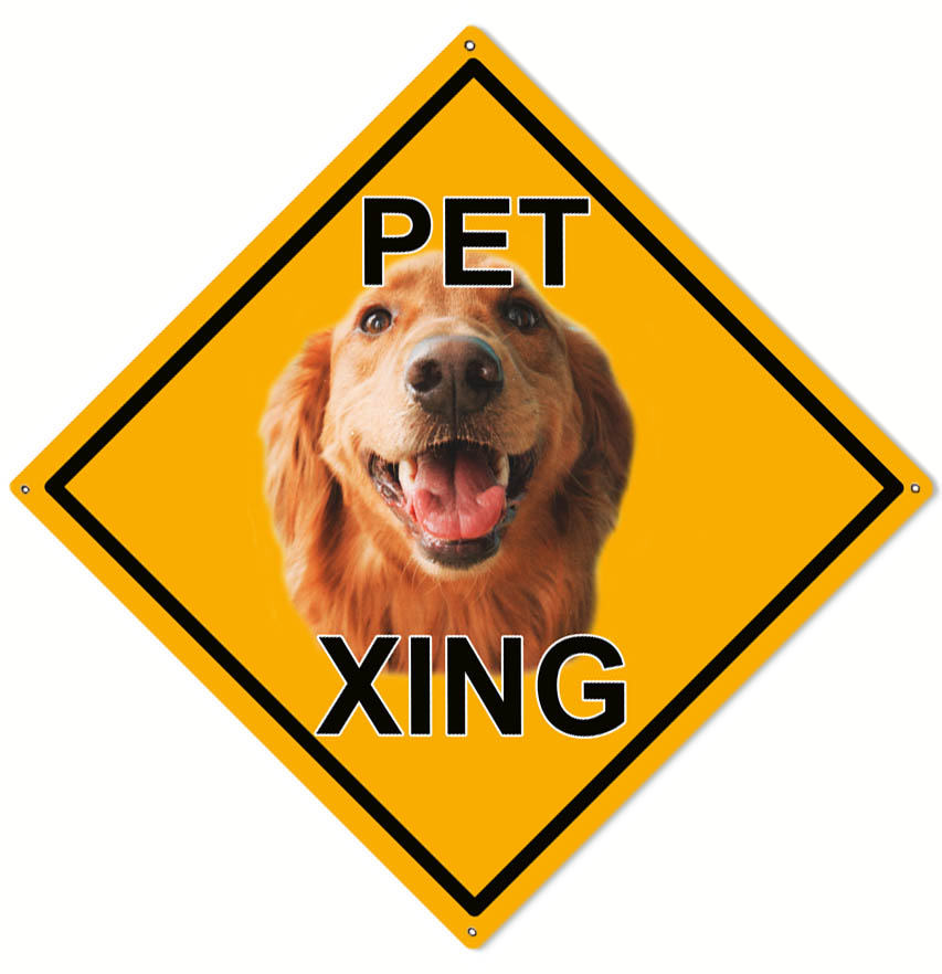Golden Retriever Pet Xing 12″x12″