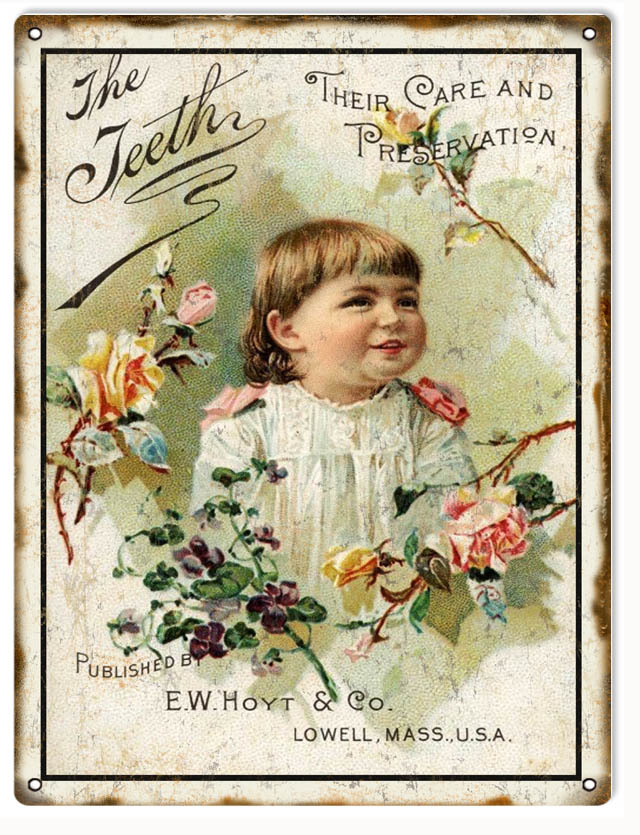 E.W. Hoyt & Co. Toothpaste Vintage Style Metal Sign 9 × 12