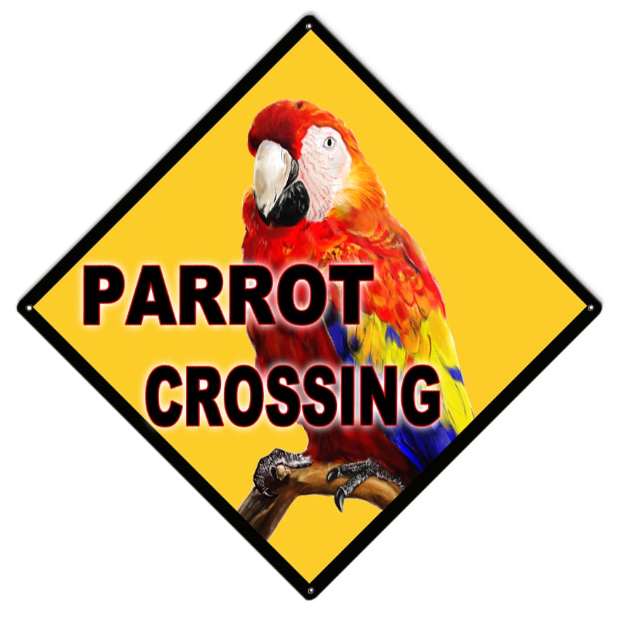 Parrot Crossing 12×12