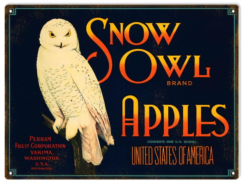 Snow Owl Apples 9×12