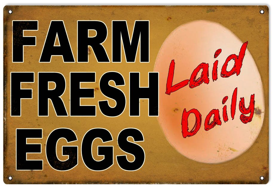Farm Fresh Eggs Laid Daily Vintage Style Metal Sign 24 x 24