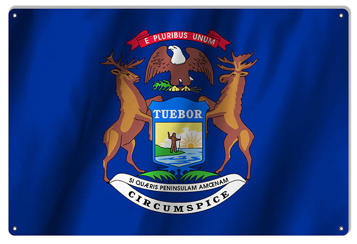 Michigan State Flag 12×18