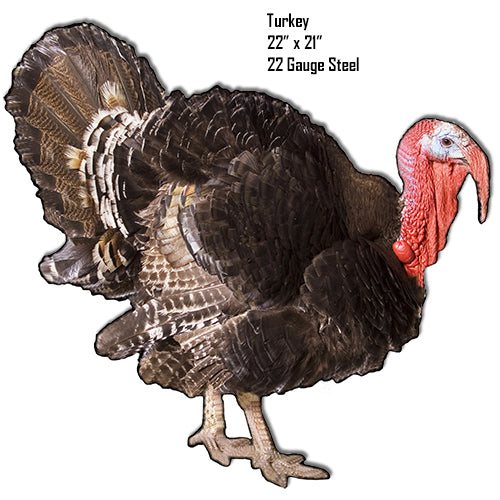 Turkey Animal 21×22