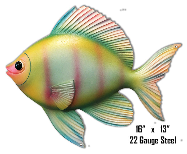 Pink Yellow Blue Tropical Fish 13×16
