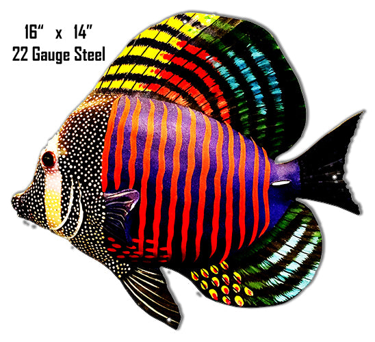 Colorful Tropical Fish 14×16
