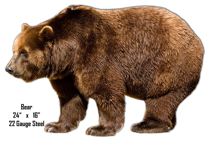 Bear Animal 16×24