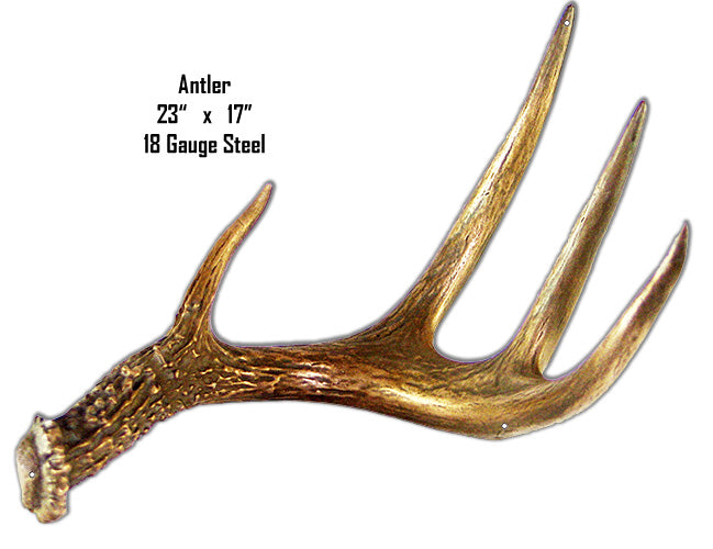 Right Antler Animal 17×23