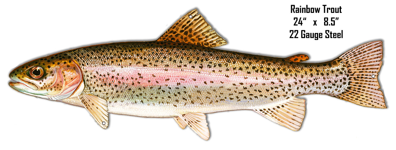 Rainbow Trout Vintage Style Metal Sign 8 × 24