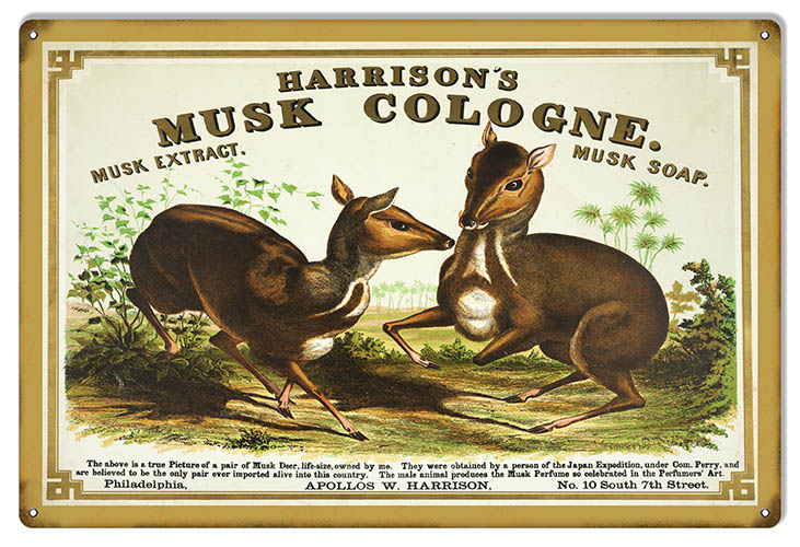 Harrisons Musk Cologne 12×18