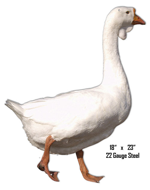 Geese Animal 18×23