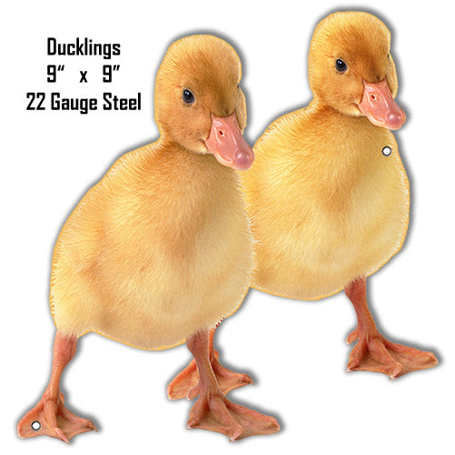 Ba Ducks Animal 10×10