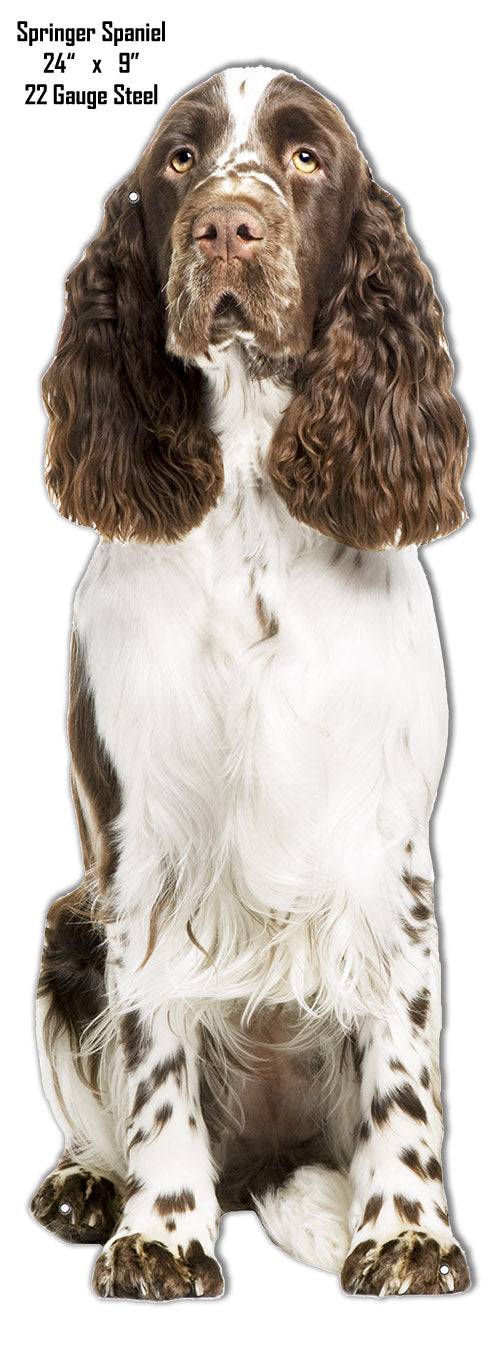 Springer Spaniel Animal 9×24