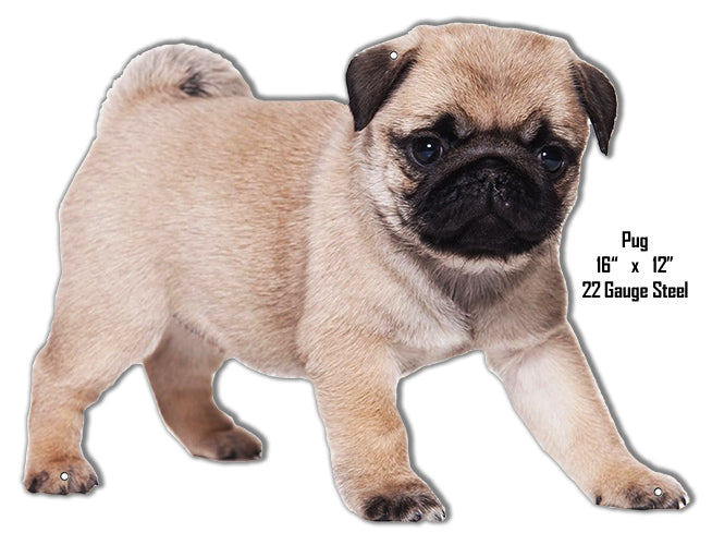 Pug Animal 12×16