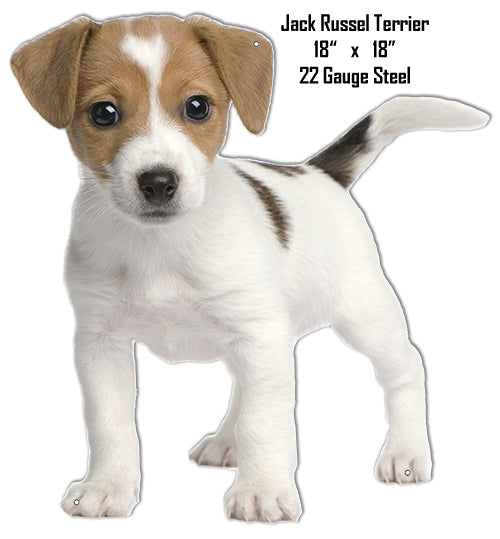 Jack Russell Terrier 18×18