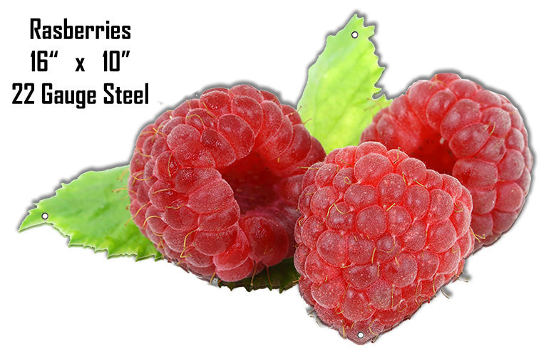 Raspberries 10×16