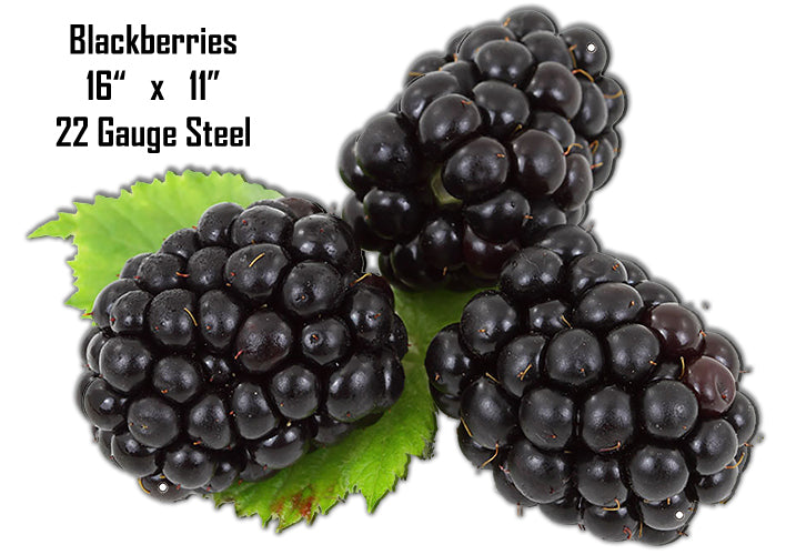 Blackberries 11×16