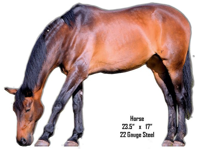 Horse Animal 17×23.5
