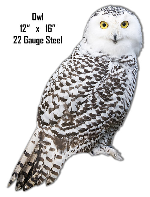Owl Animal 12×16