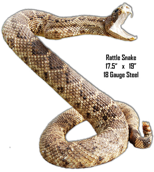 Rattle Snake Animal 17.5×19