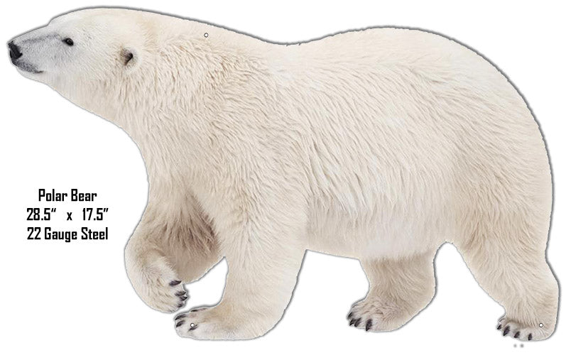 Polar Bear Animal 17.5×28.5