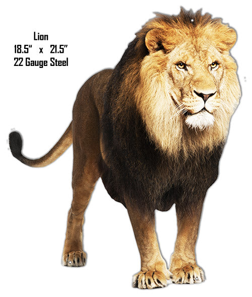 Lion Animal 18.5×21.5
