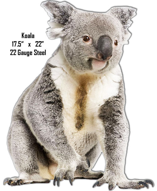 Koala Animal 17.5×22