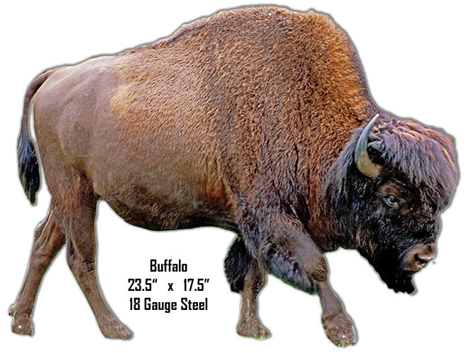 Buffalo Animal 17.5×23.5