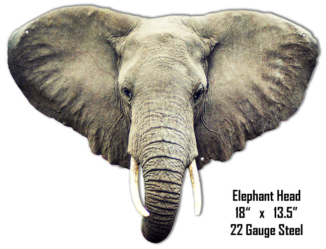 Elephant Head Animal 13.5×18