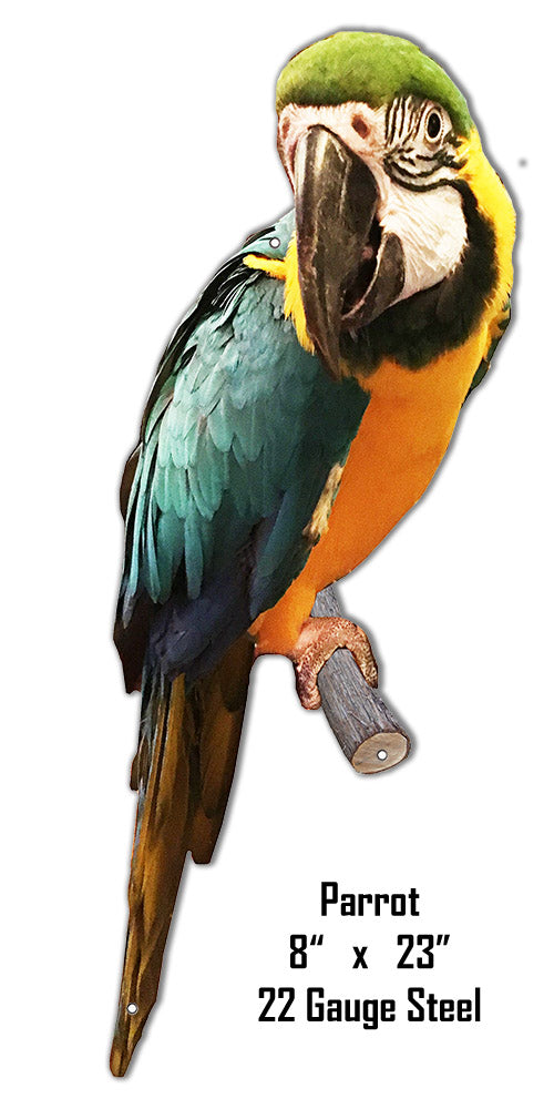 Parrot Animal 8×23