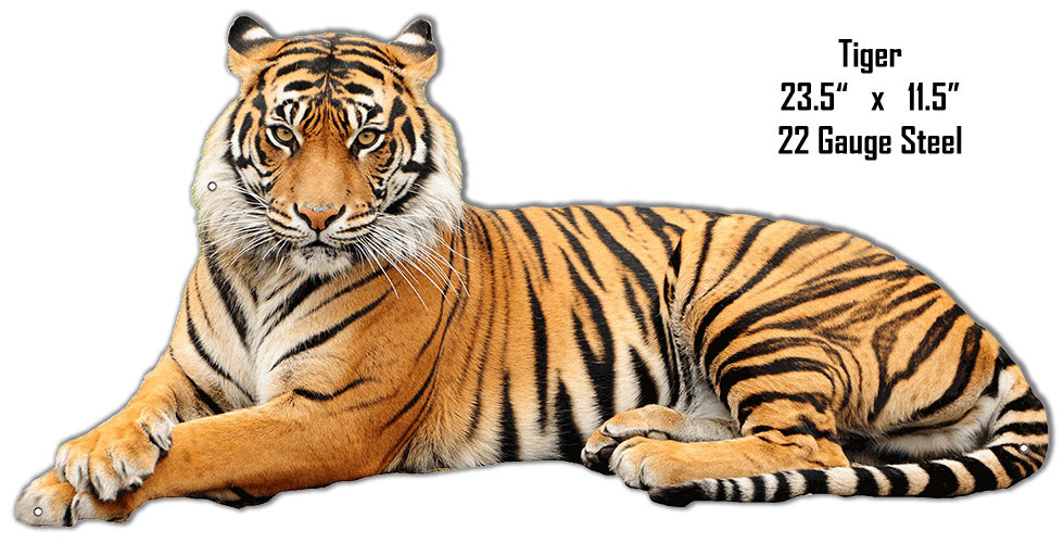 Tiger 11.5×23.5