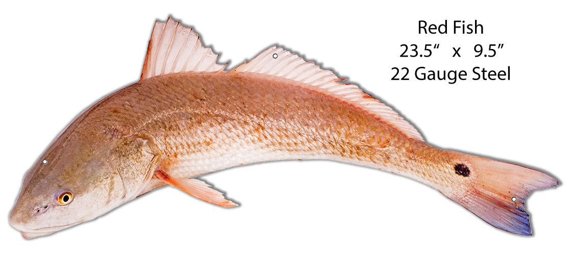 Red Fish 9.5×23.5