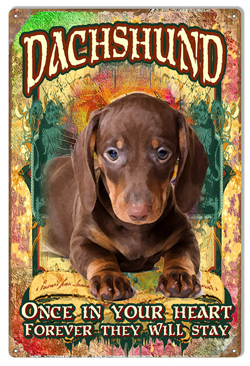 Forever In Your He Dachshund 12×18
