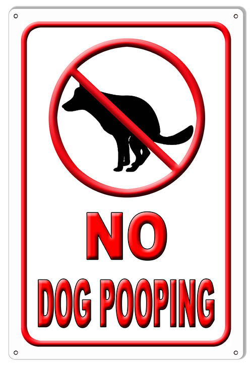 Warning No Dog Pooping Animal 12x18