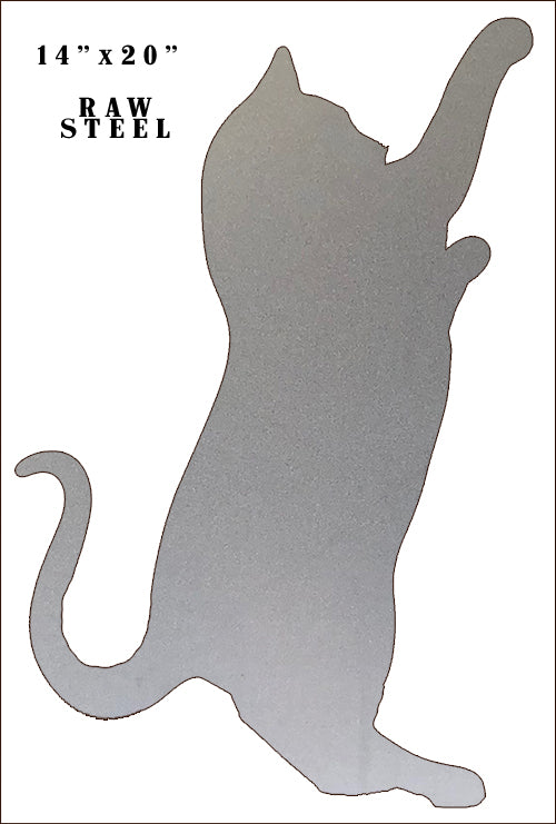 Cat On Raw Steel 14×20