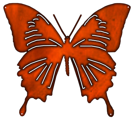 Butterfly 19.5×21.7