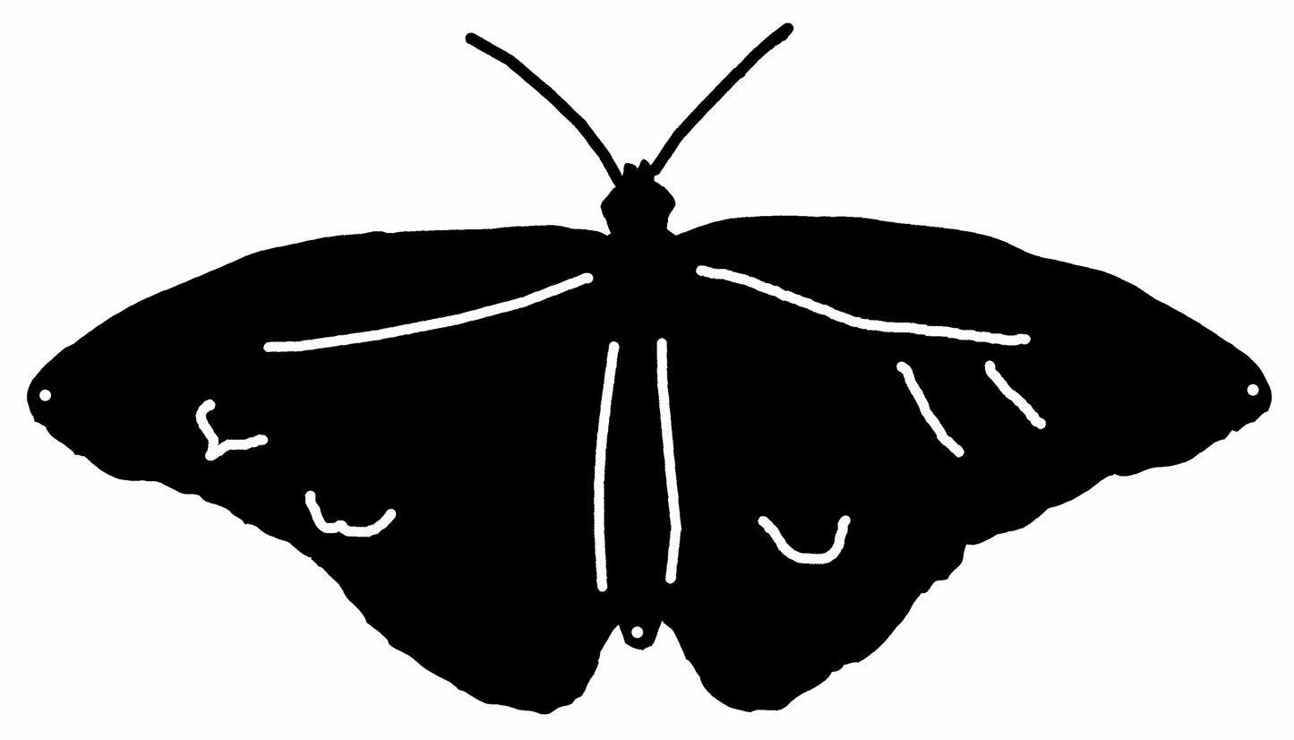 Butterfly Silhouette 13.5×23.1