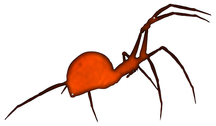 Black Widow Spider 13.5×23