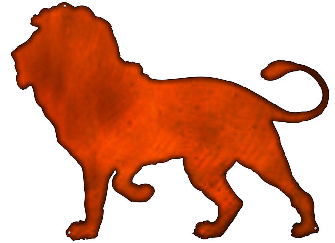 Lion 20.5×28