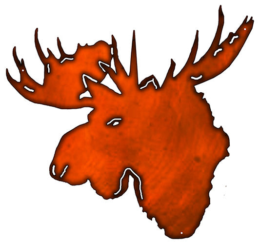 Moose 22.2×23.5