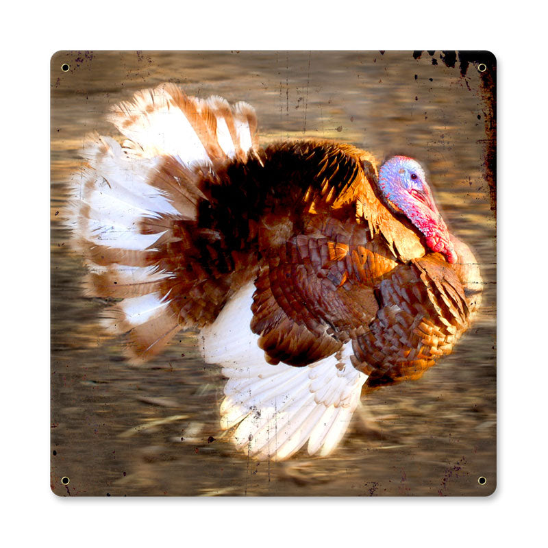 RUNNING TURKEY 12 x 12