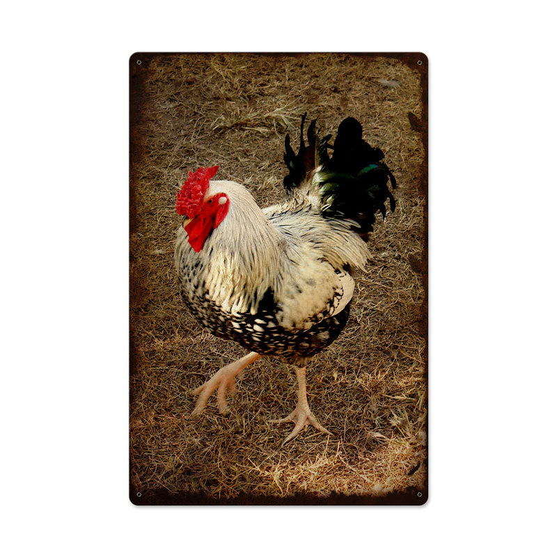 ROOSTER 16 x 24