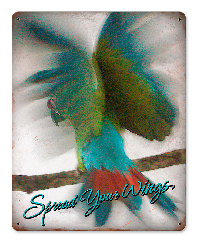 SPREAD YOUR WINGS 12 x 15