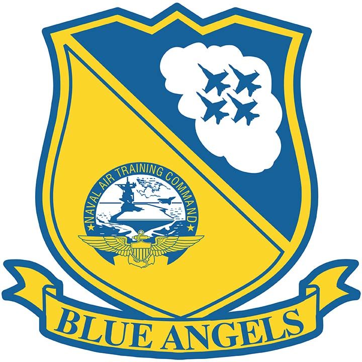 Blue Angel Logo 10 X 10