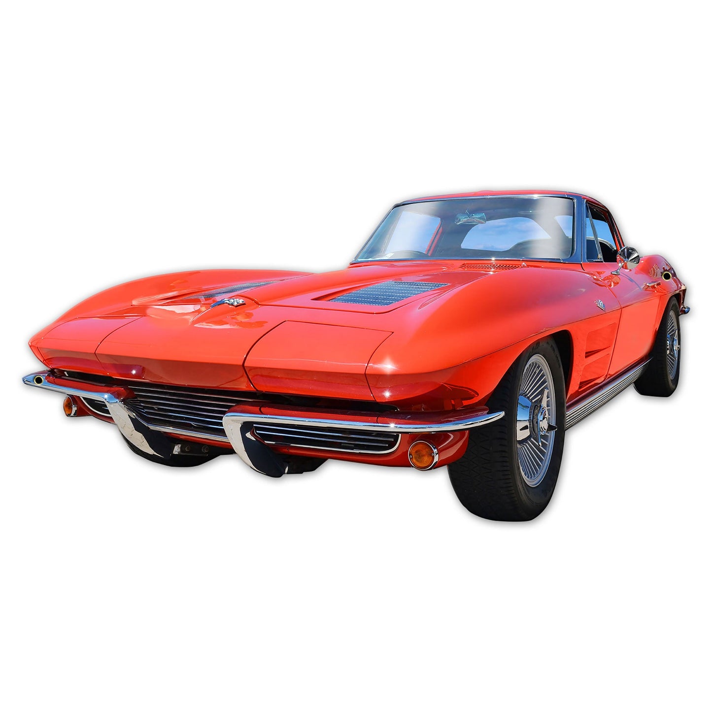 64 Stingray 24 x 12