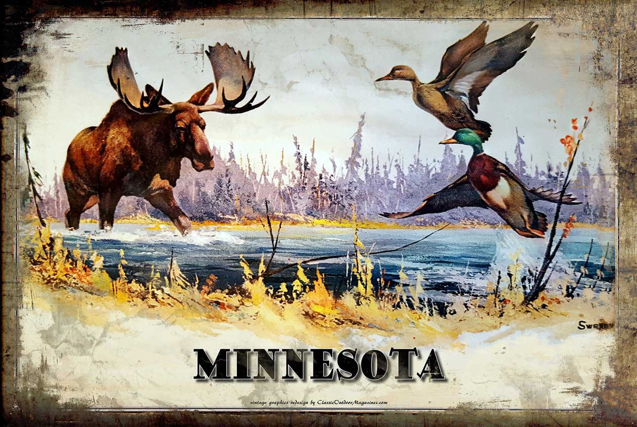 Mn Sweeny Moose 24 X 36
