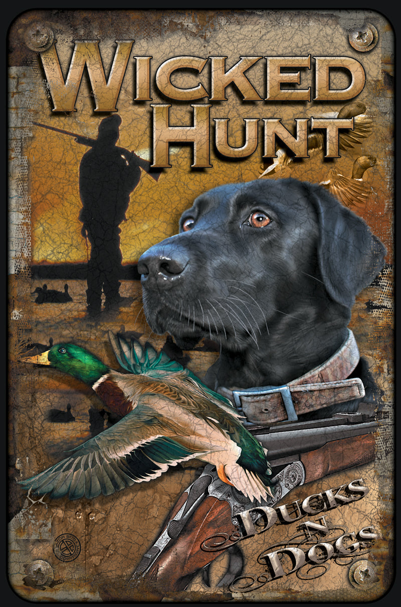 Ducks And Dogs