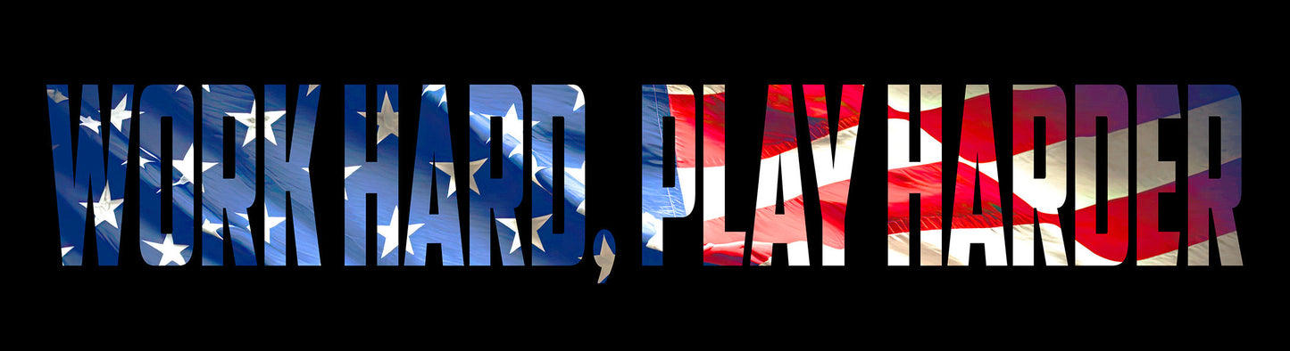 Work Hard Play Harder 30 X 8
