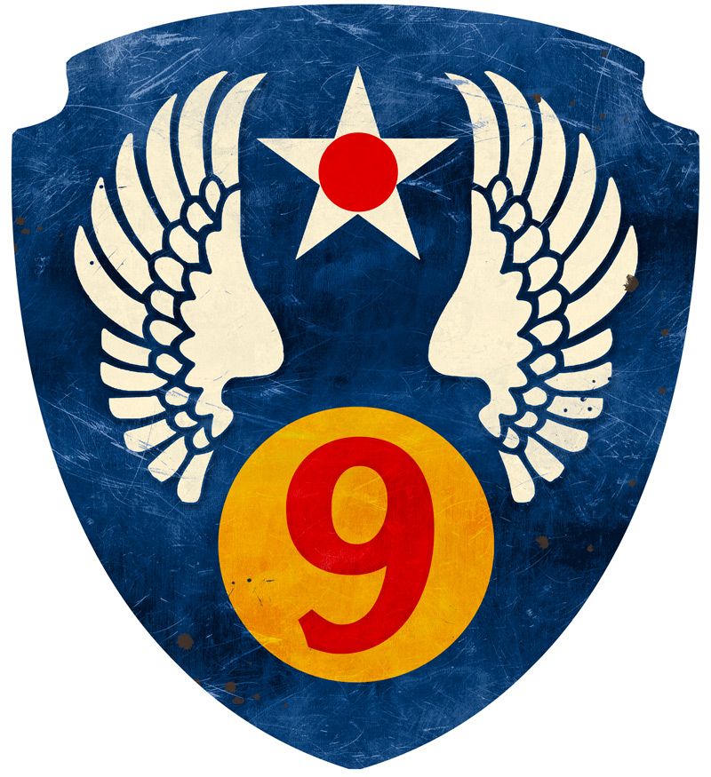 Ninth Air Force 16 X 16