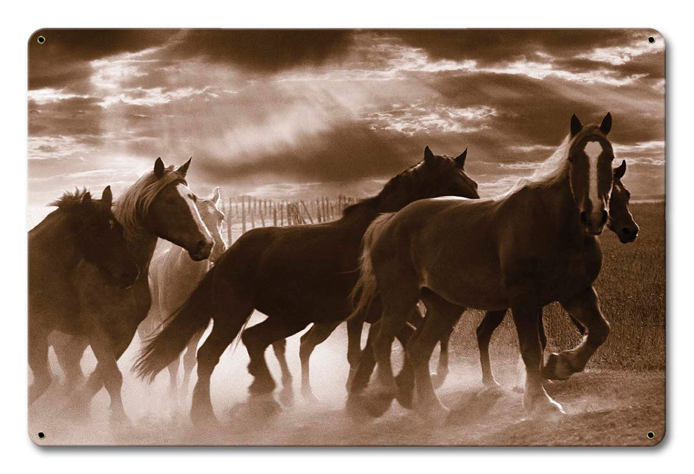 Running Horses 18 x 12